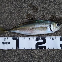 先週のリベンジ